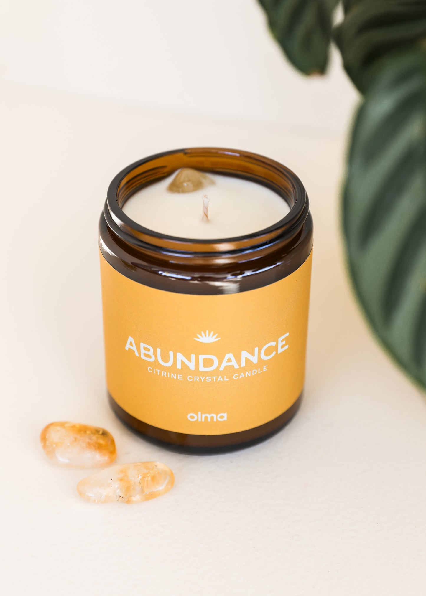 Abundance Intention Candle - Amber