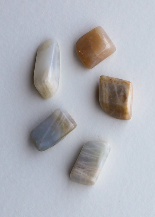Moonstone — Set of 5 Crystals